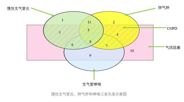 &#21338;&#40060;&#20307;&#32946;&#40;&#20013;&#22269;&#41;&#23448;&#26041;&#32593;&#31449;&#45;&#30331;&#24405;&#20837;&#21475;
