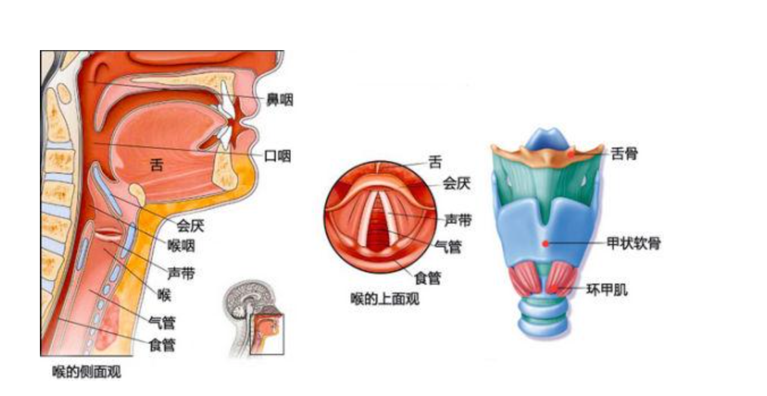 &#21338;&#40060;&#20307;&#32946;&#40;&#20013;&#22269;&#41;&#23448;&#26041;&#32593;&#31449;&#45;&#30331;&#24405;&#20837;&#21475;