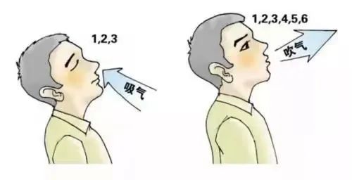 &#21338;&#40060;&#20307;&#32946;&#40;&#20013;&#22269;&#41;&#23448;&#26041;&#32593;&#31449;&#45;&#30331;&#24405;&#20837;&#21475;