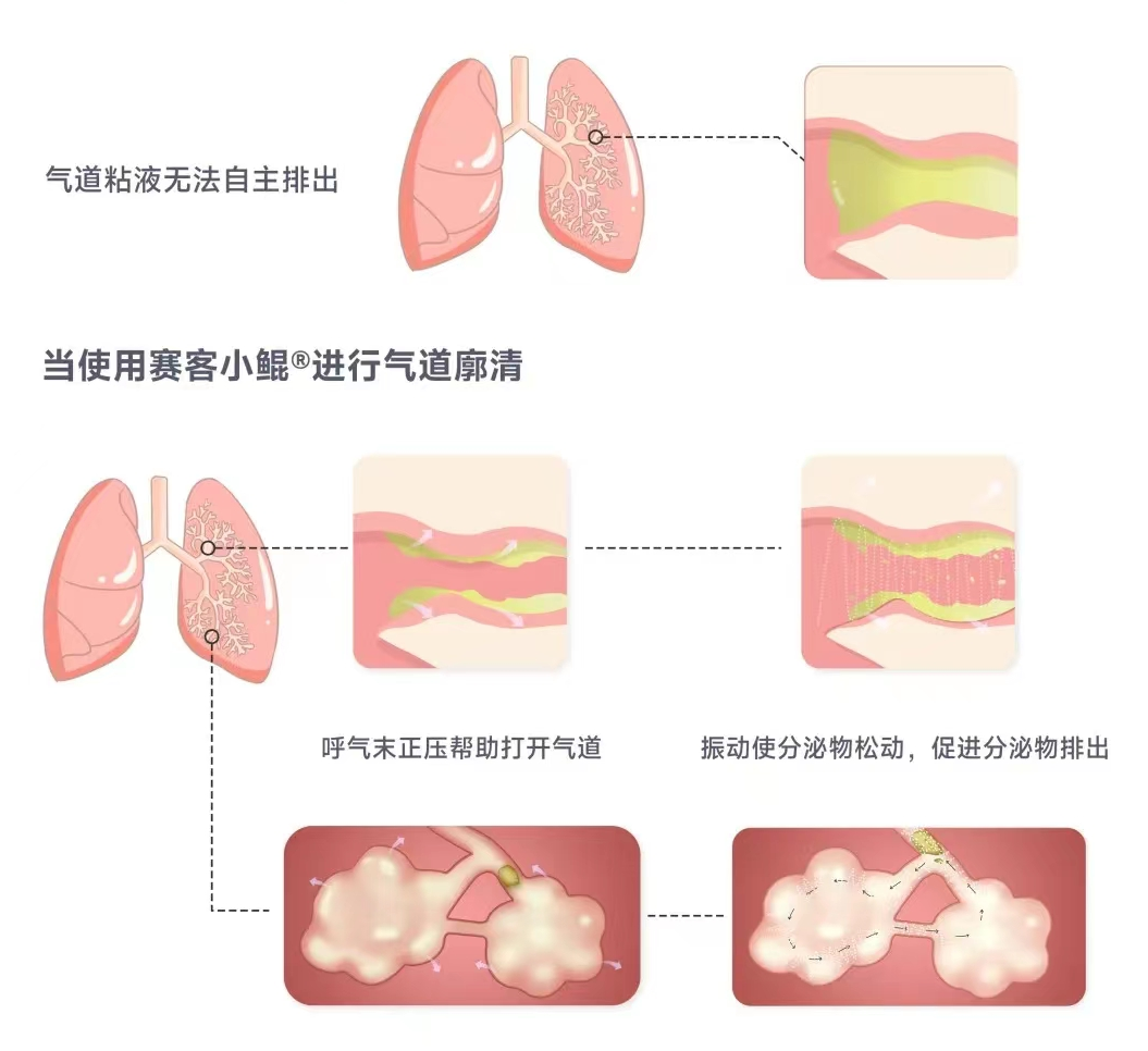 &#21338;&#40060;&#20307;&#32946;&#40;&#20013;&#22269;&#41;&#23448;&#26041;&#32593;&#31449;&#45;&#30331;&#24405;&#20837;&#21475;