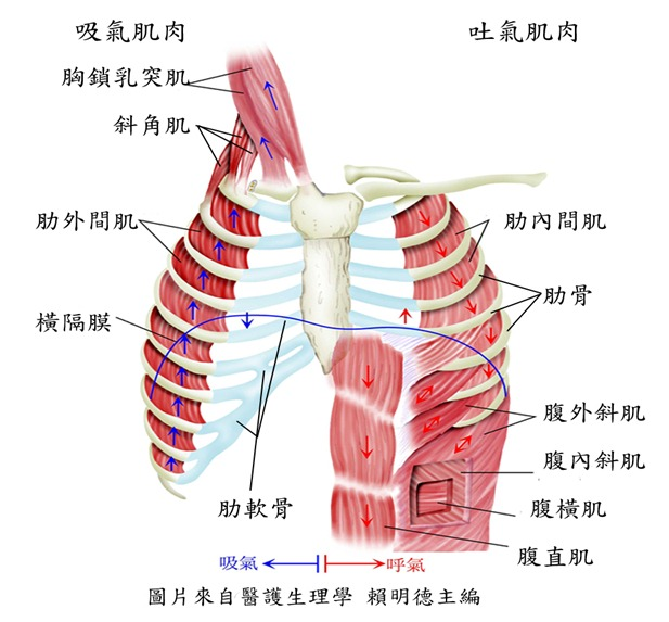 &#21338;&#40060;&#20307;&#32946;&#40;&#20013;&#22269;&#41;&#23448;&#26041;&#32593;&#31449;&#45;&#30331;&#24405;&#20837;&#21475;