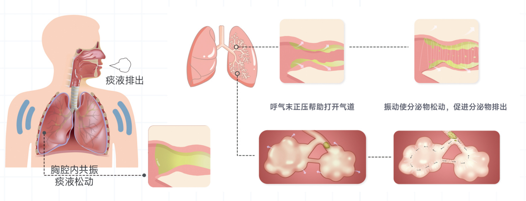 &#21338;&#40060;&#20307;&#32946;&#40;&#20013;&#22269;&#41;&#23448;&#26041;&#32593;&#31449;&#45;&#30331;&#24405;&#20837;&#21475;