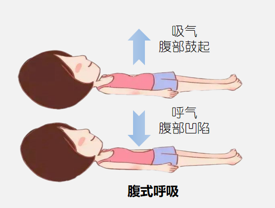 &#21338;&#40060;&#20307;&#32946;&#40;&#20013;&#22269;&#41;&#23448;&#26041;&#32593;&#31449;&#45;&#30331;&#24405;&#20837;&#21475;