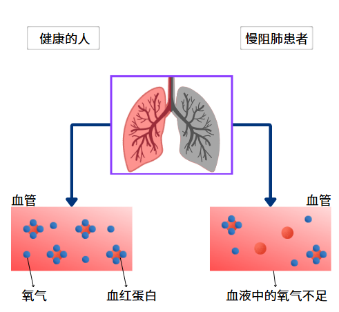 &#21338;&#40060;&#20307;&#32946;&#40;&#20013;&#22269;&#41;&#23448;&#26041;&#32593;&#31449;&#45;&#30331;&#24405;&#20837;&#21475;